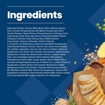 Blue Buffalo Life Protection Formula Dry Dog Food - Chicken, 24 lb