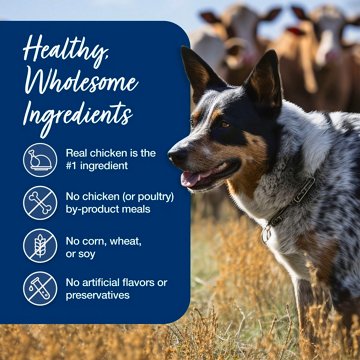 Blue Buffalo Blue's Stew Wet Dog Food - Chicken