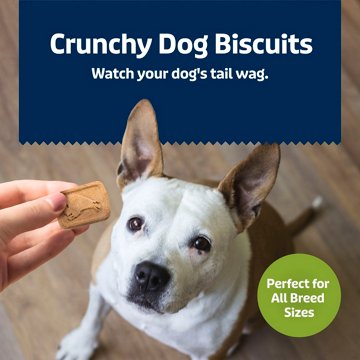 Blue Buffalo Health Bars Crunchy Dog Biscuits - Apples & Yogurt, 16 lb