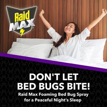 Raid MAX Bed Bug Crack & Crevice Foaming Spray