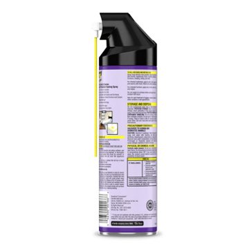 Raid MAX Bed Bug Crack & Crevice Foaming Spray, 17.5 oz