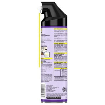 Raid MAX Bed Bug Crack & Crevice Foaming Spray, 17.5 oz