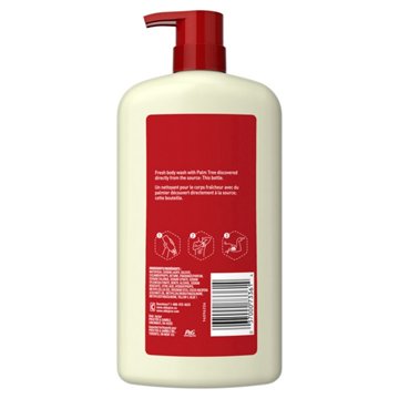 Old Spice Body Wash - Fiji with Palm Tree