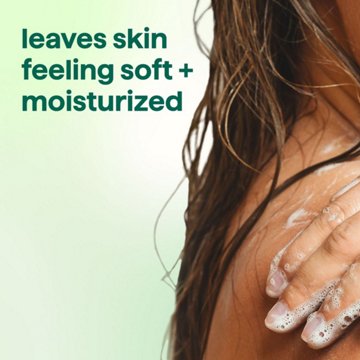 method Body Wash - Daily Zen