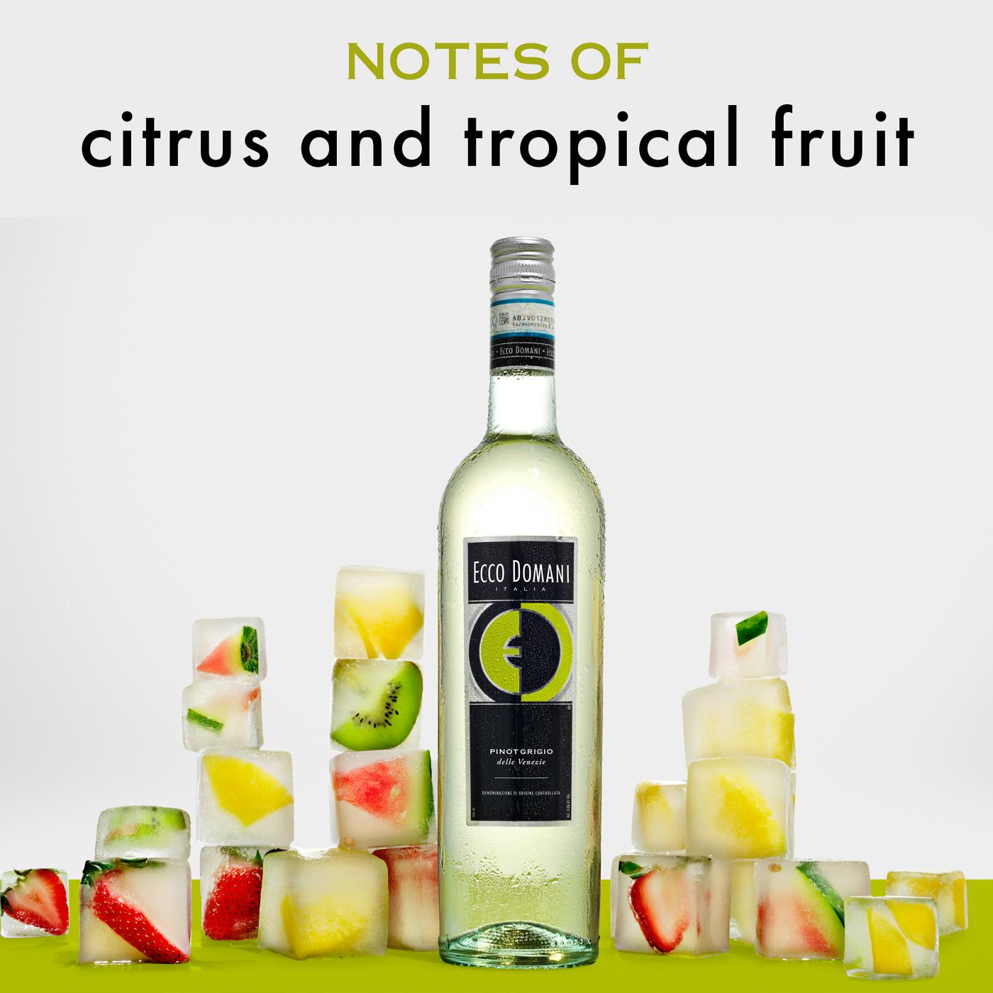 Ecco Domani Collezione Pinot Grigio Italy White Wine; image 4 of 7