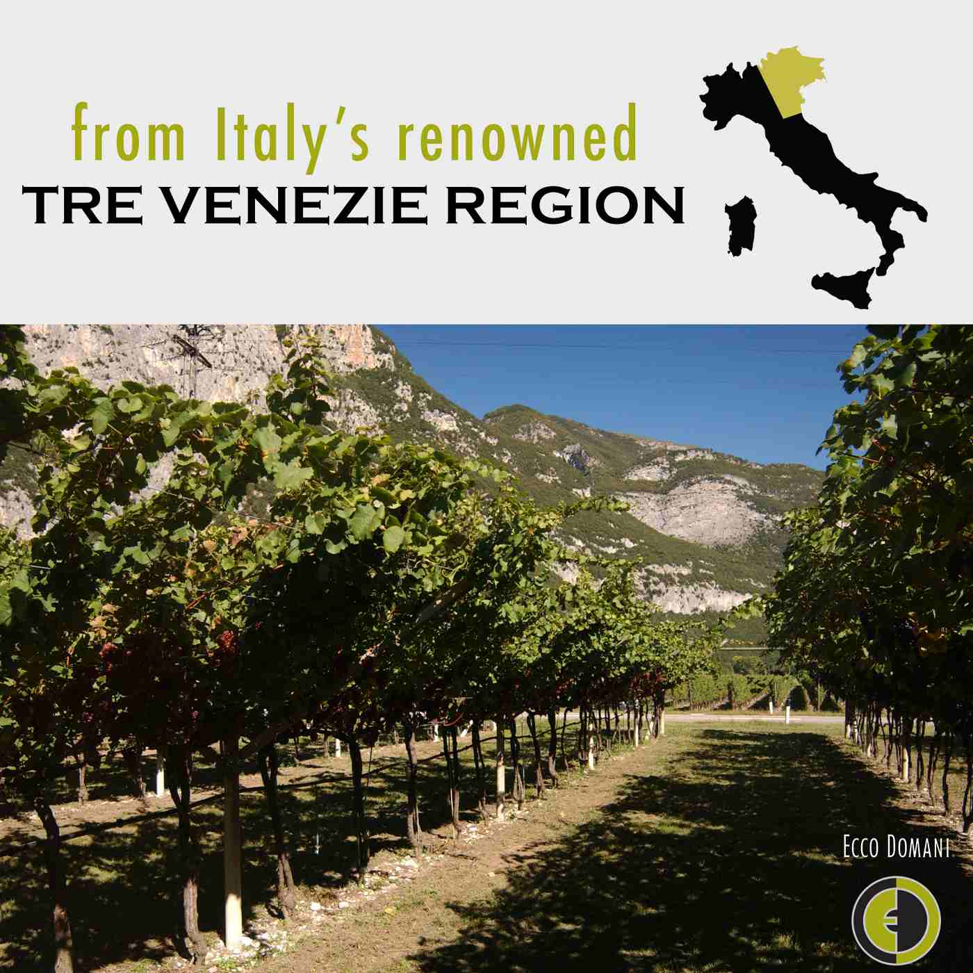 Ecco Domani Collezione Pinot Grigio Italy White Wine; image 5 of 7