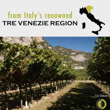 Ecco Domani Collezione Pinot Grigio Italy White Wine, 750 mL