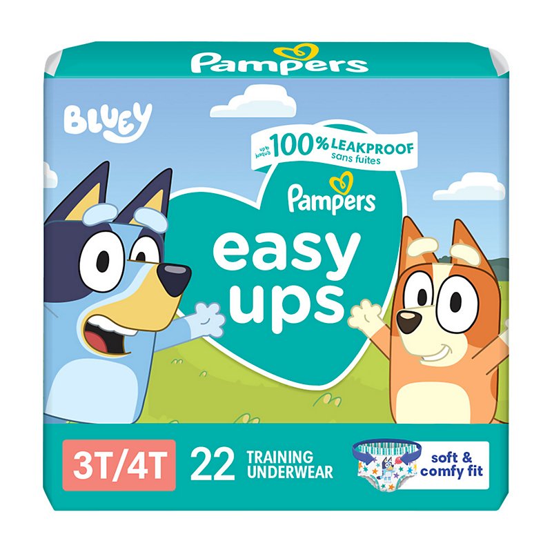Semblance hemisphere Seagull Pampers Easy Ups Training Underwear Boys Size 5 3T-4T - Shop Diapers &  Potty at H-E-B