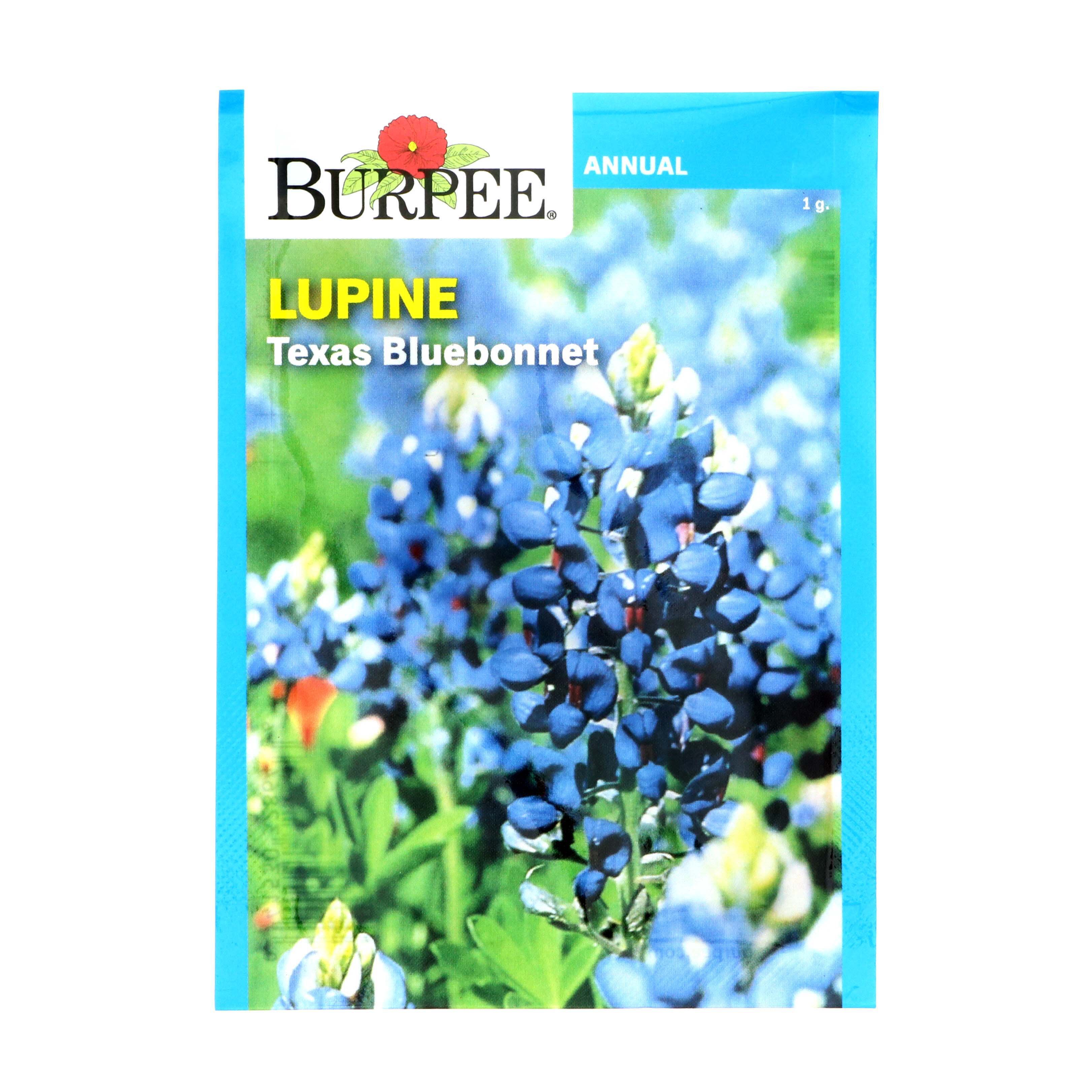 Burpee Annual Flower Seeds, Assortment Shop Seeds at HEB