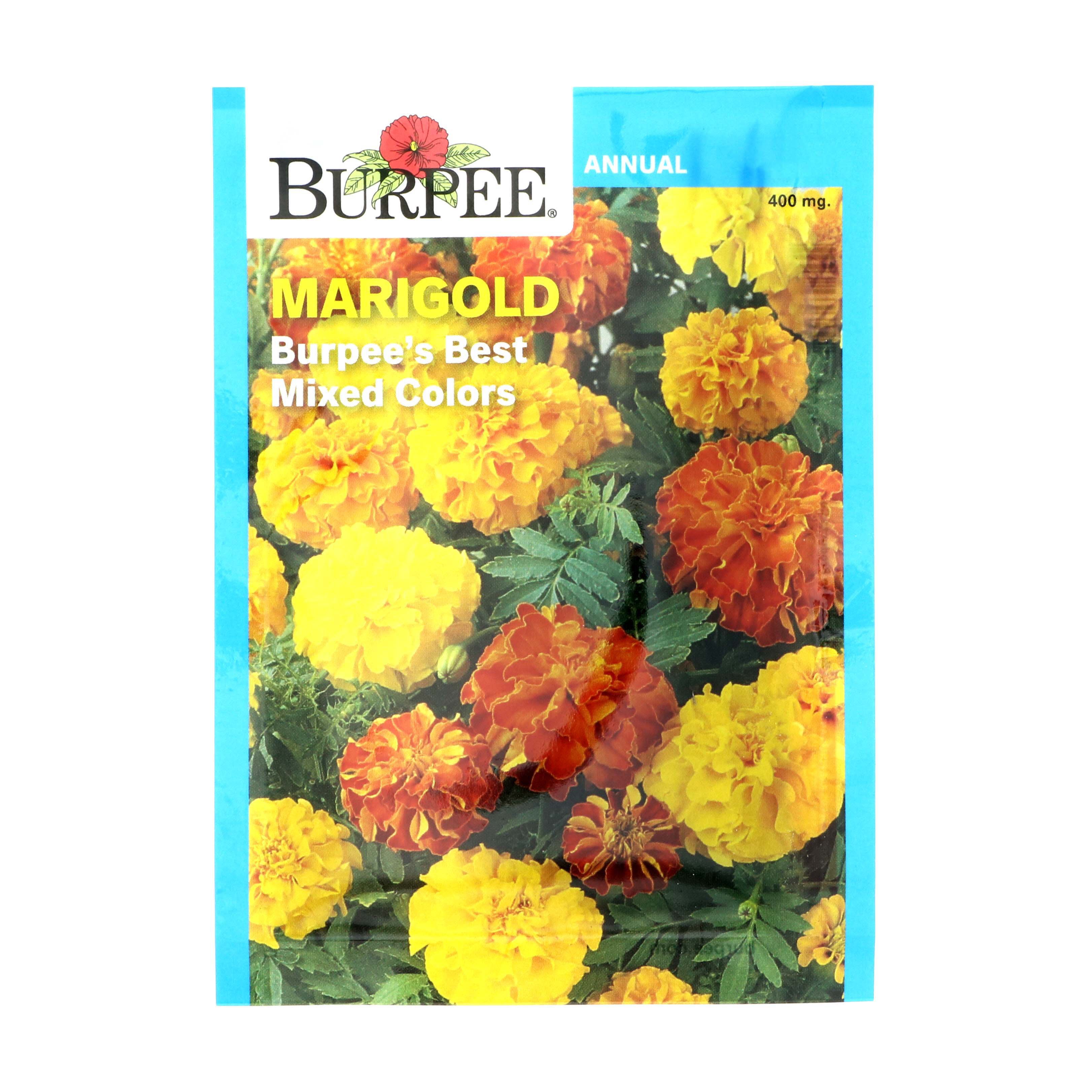 Burpee Marigold, Burpee's Best Mixed Color Flower Seeds Shop Seeds at HEB