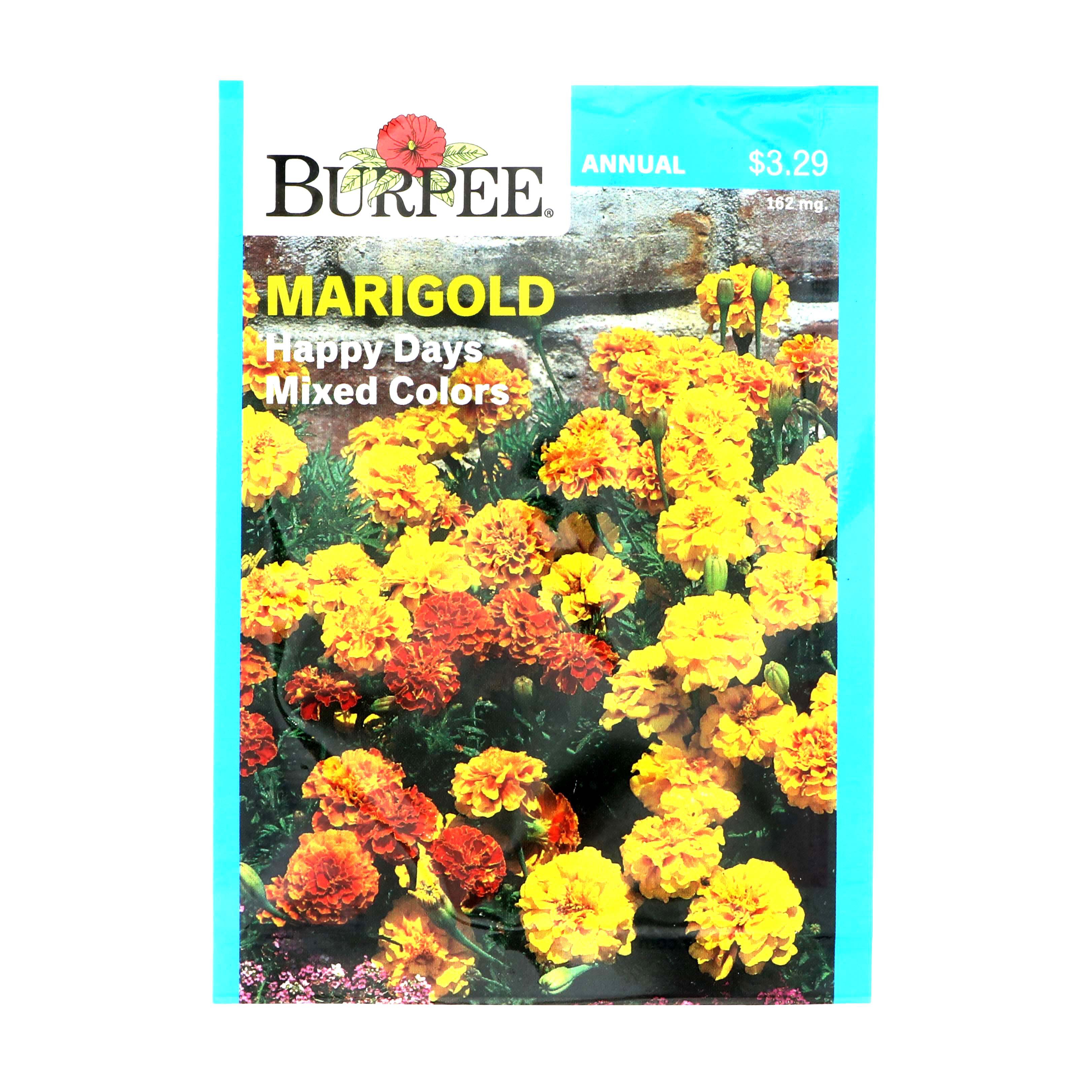 Burpee Marigold, Happy Days Mixed Color Flower Seeds Shop Patio & Outdoor at HEB