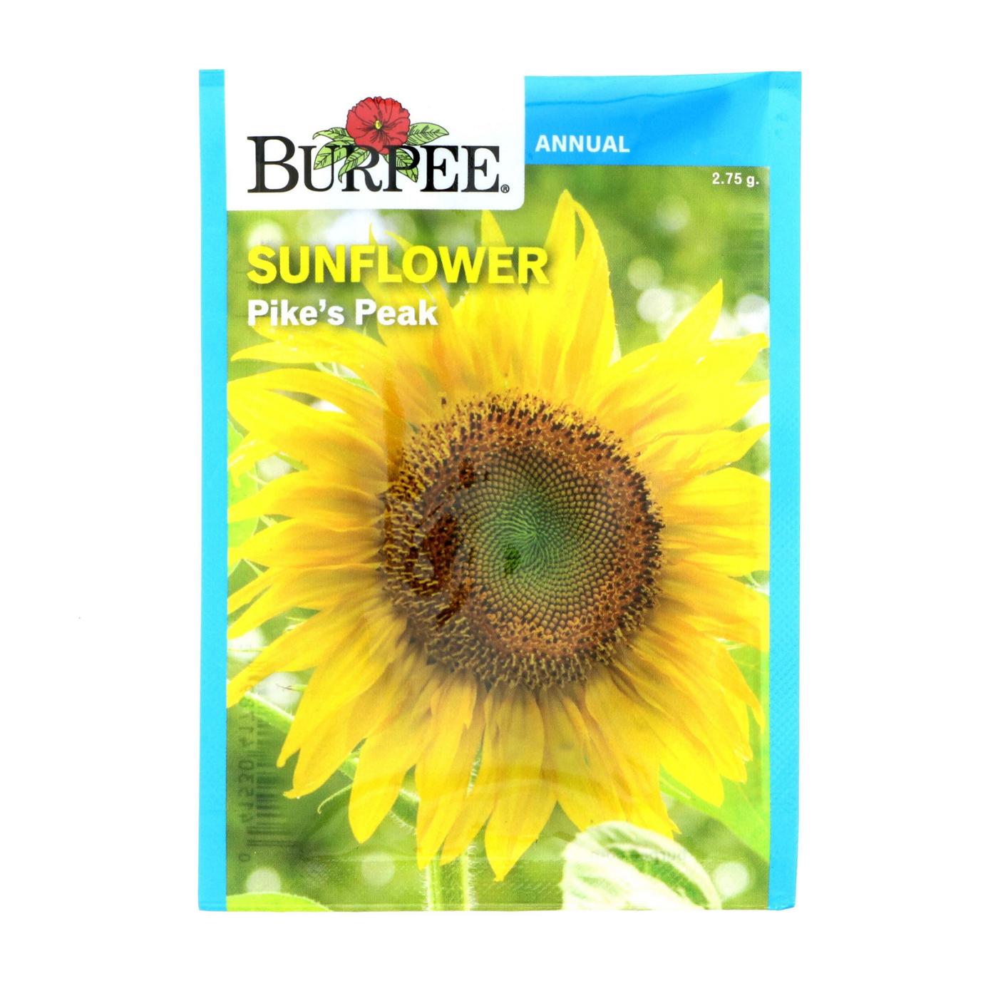 Burpee Pike's Peak Sunflower Annual Flower Seeds; image 1 of 2