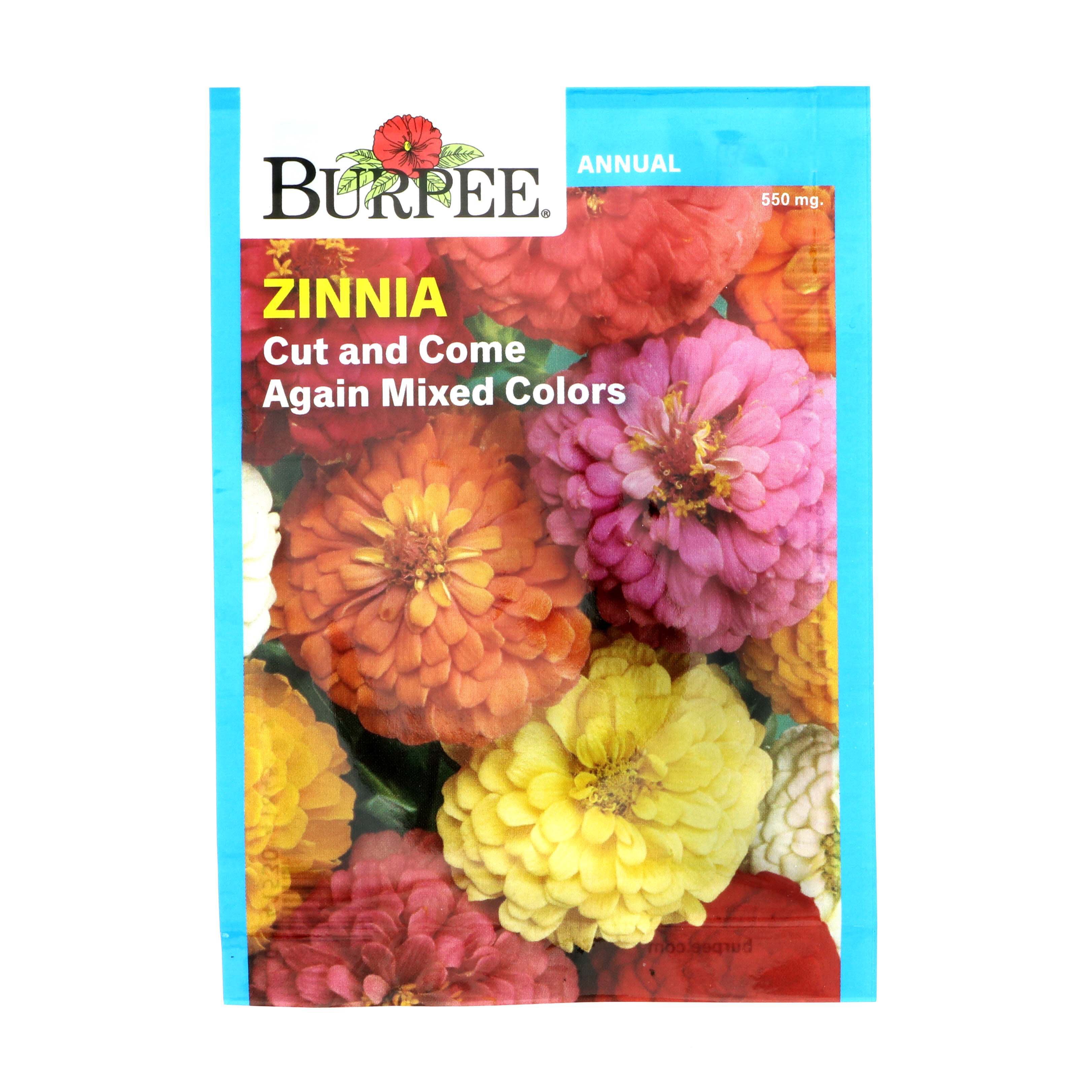 Burpee Zinnia, Cut & Come Again Seeds, Mixed Colors Shop Seeds at HEB