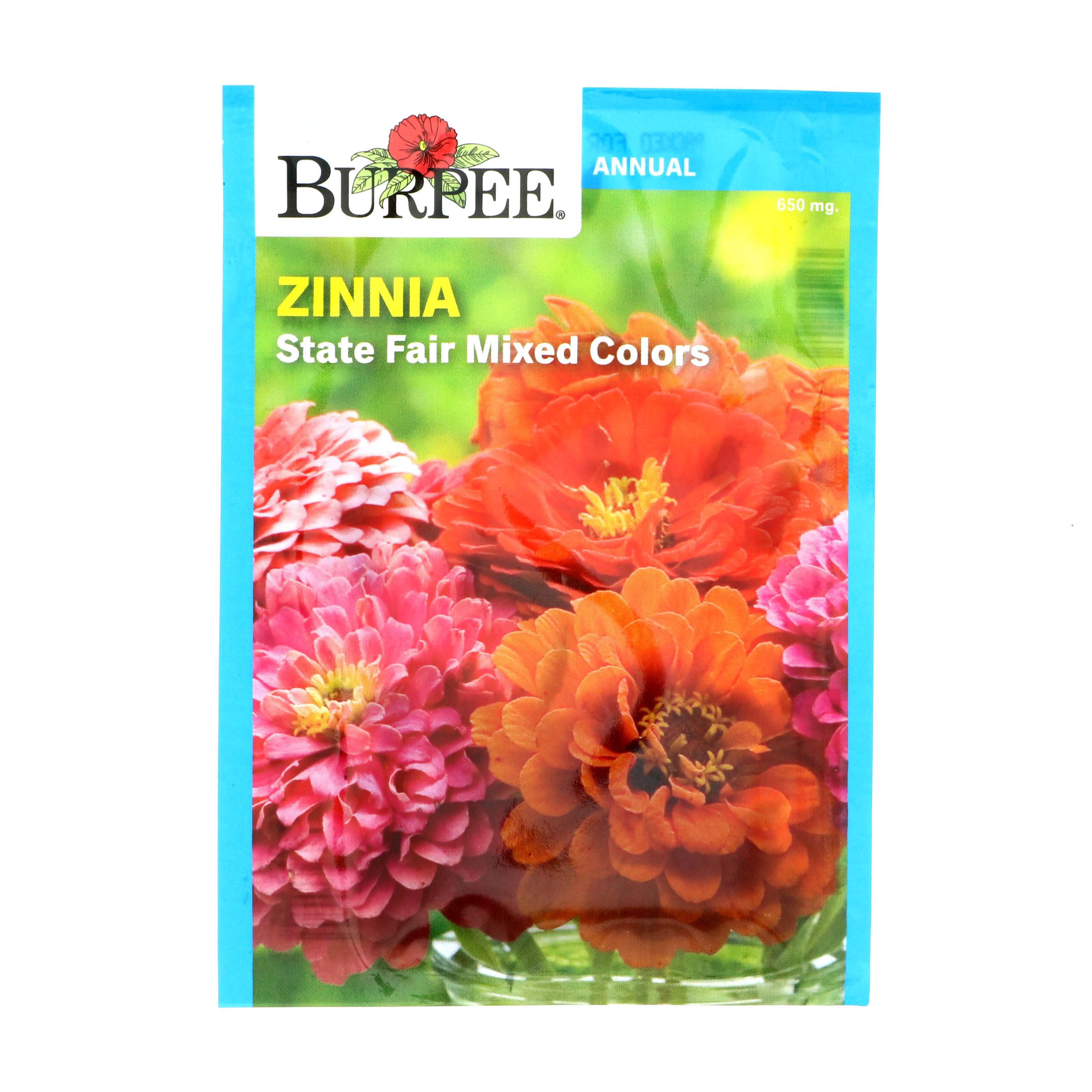 Burpee Zinnia, State Fair Mixed Colors Seeds - Shop Seeds At H-E-B