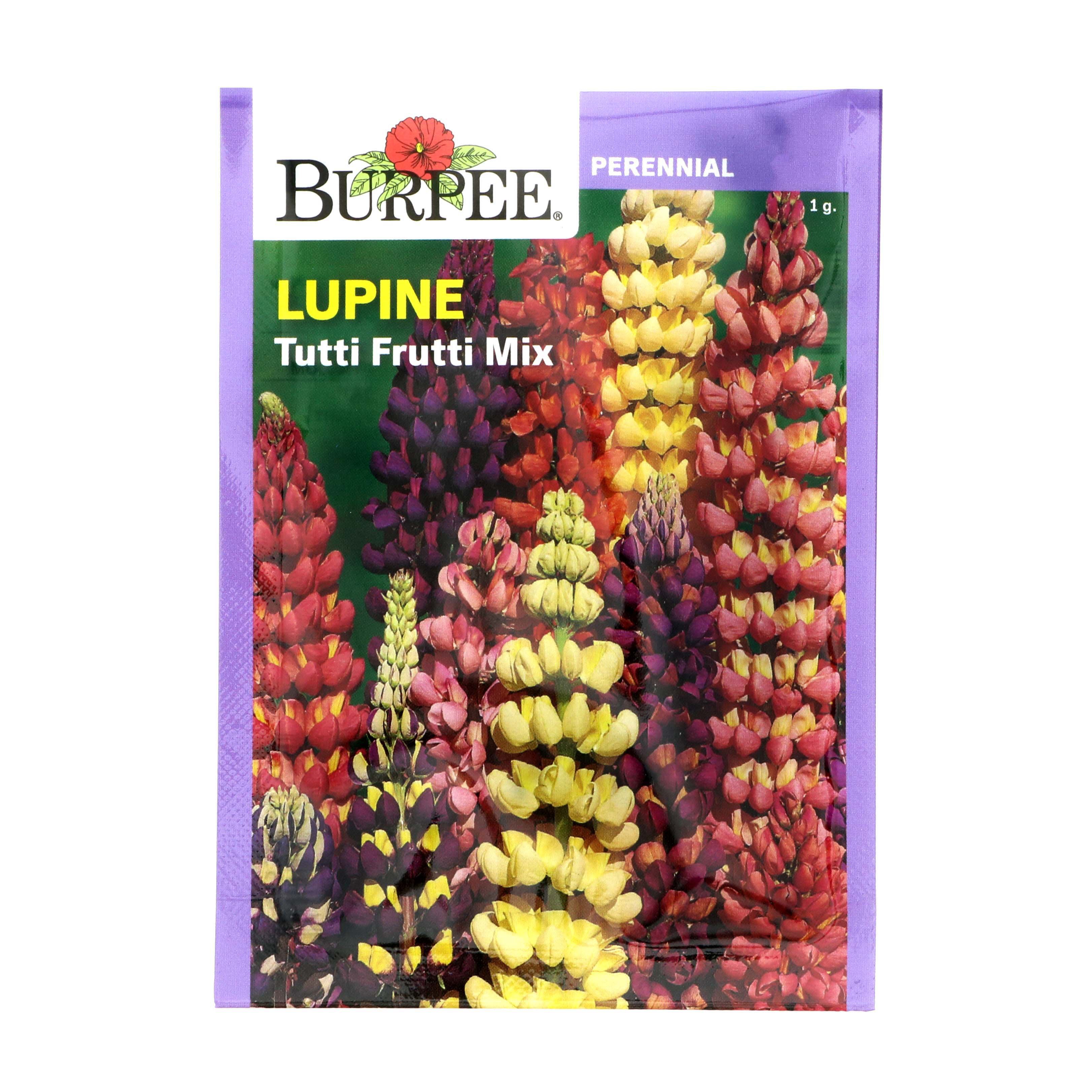 Burpee Seed Mix