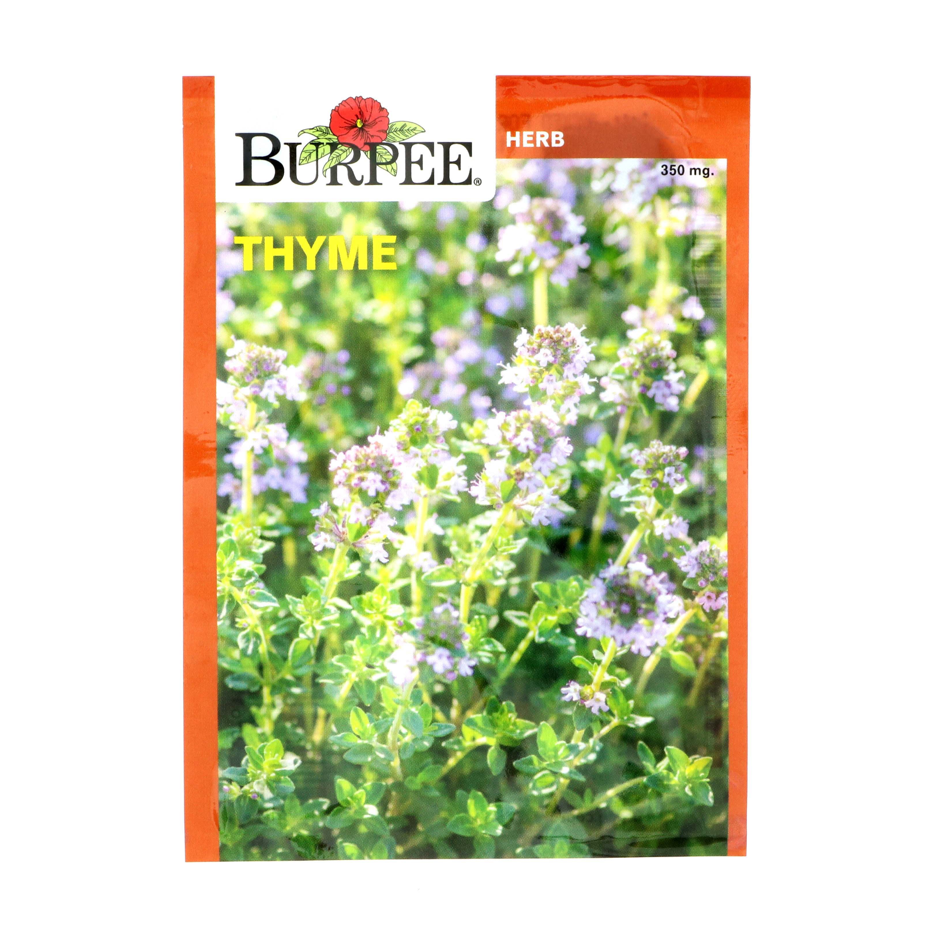 Burpee Thyme Herb Seeds Shop Patio & Outdoor at HEB