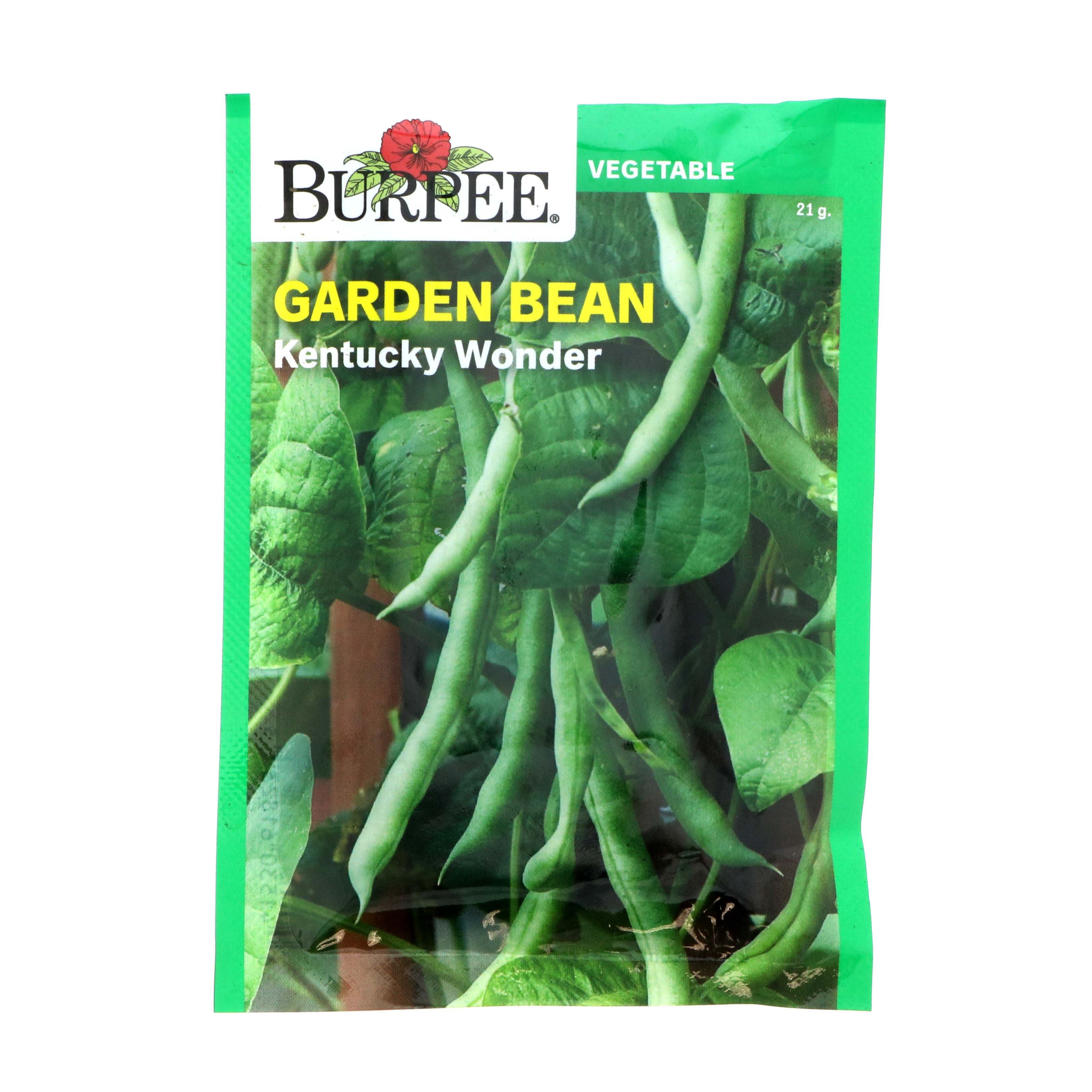 Burpee Garden Bean, Kentucky Wonder Vegetable Seeds Shop Seeds at HEB