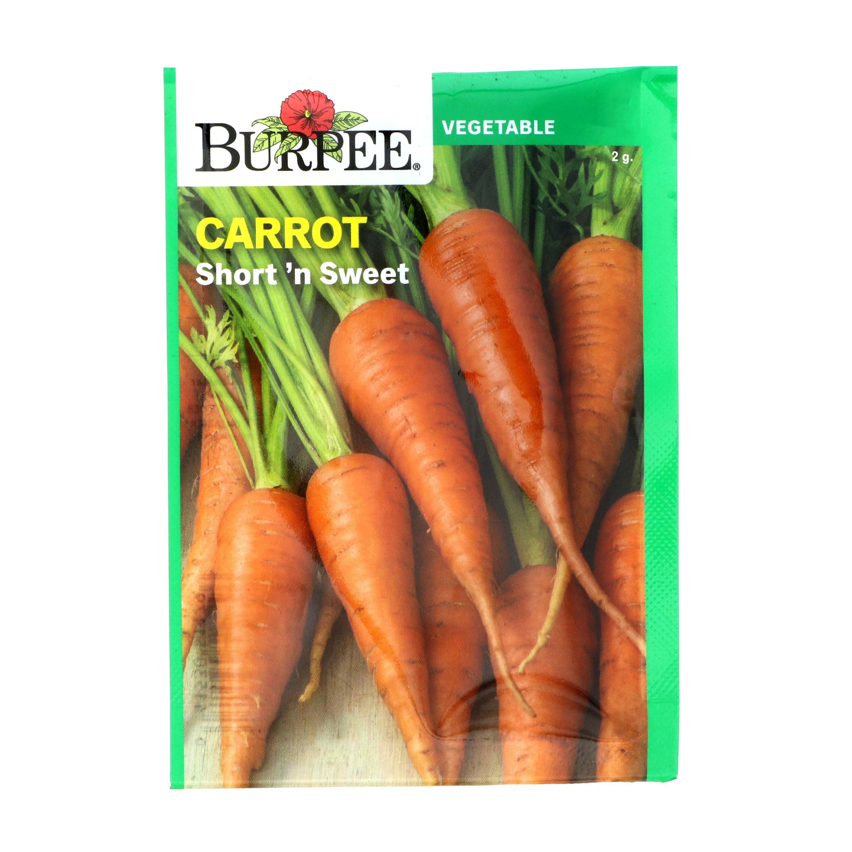 Burpee Carrot Short 'n Sweet Vegetable Seeds - Shop Seeds at H-E-B