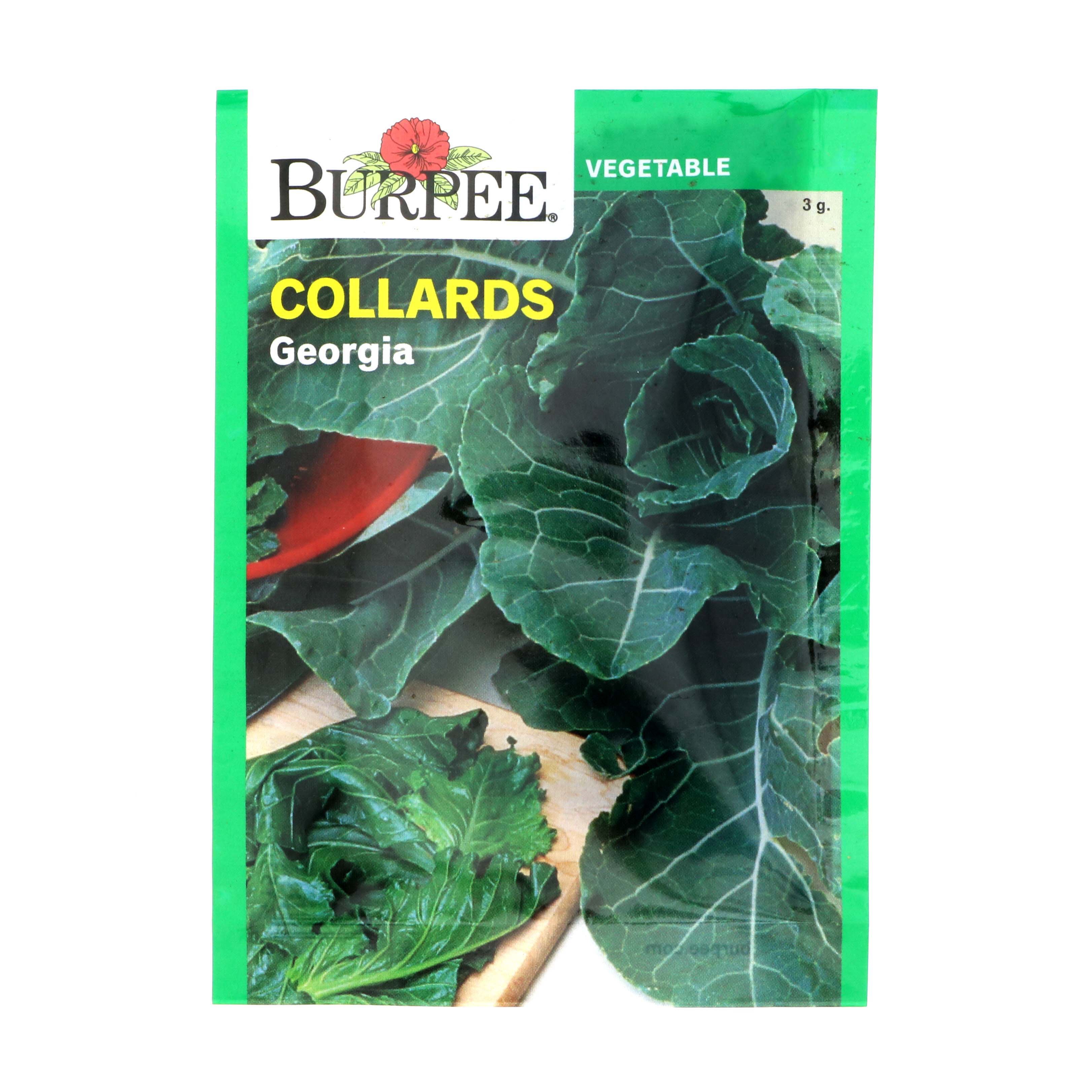 Burpee Collards Vegetable Seeds Shop Seeds at HEB
