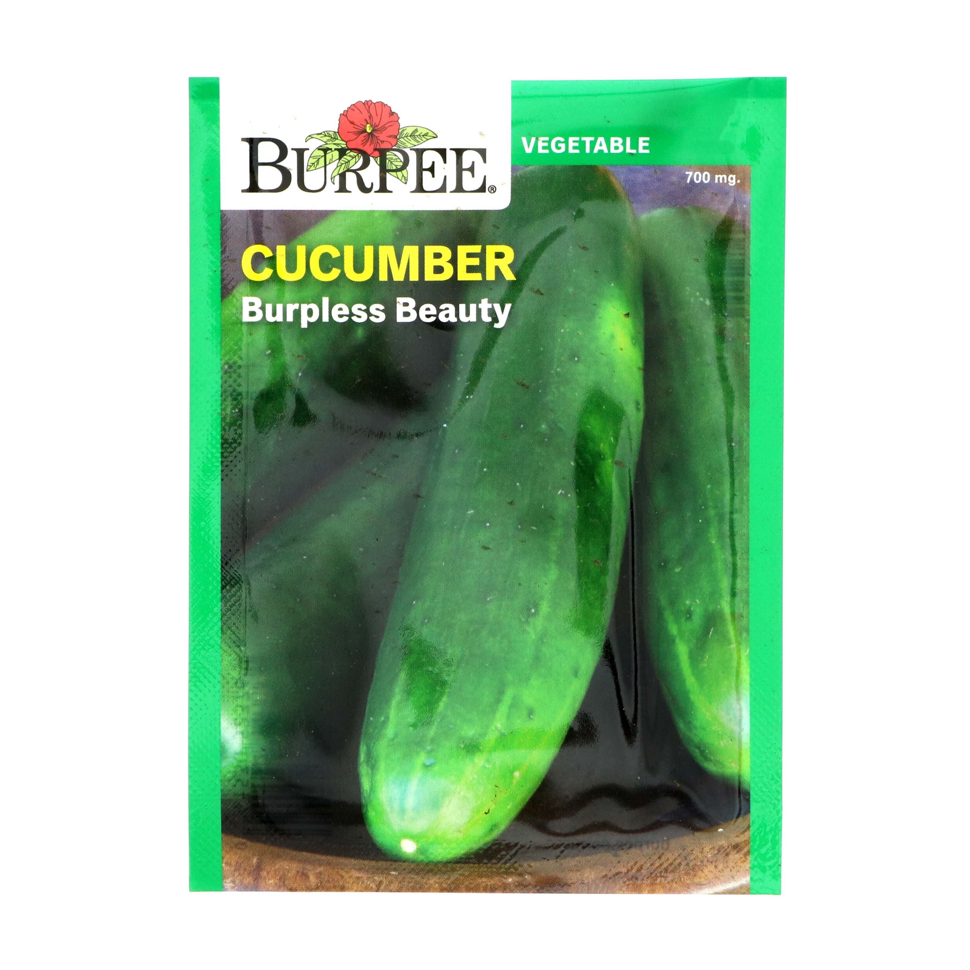 Burpee Cucumber Burpless Beauty Vegetable Seeds Shop Patio & Outdoor