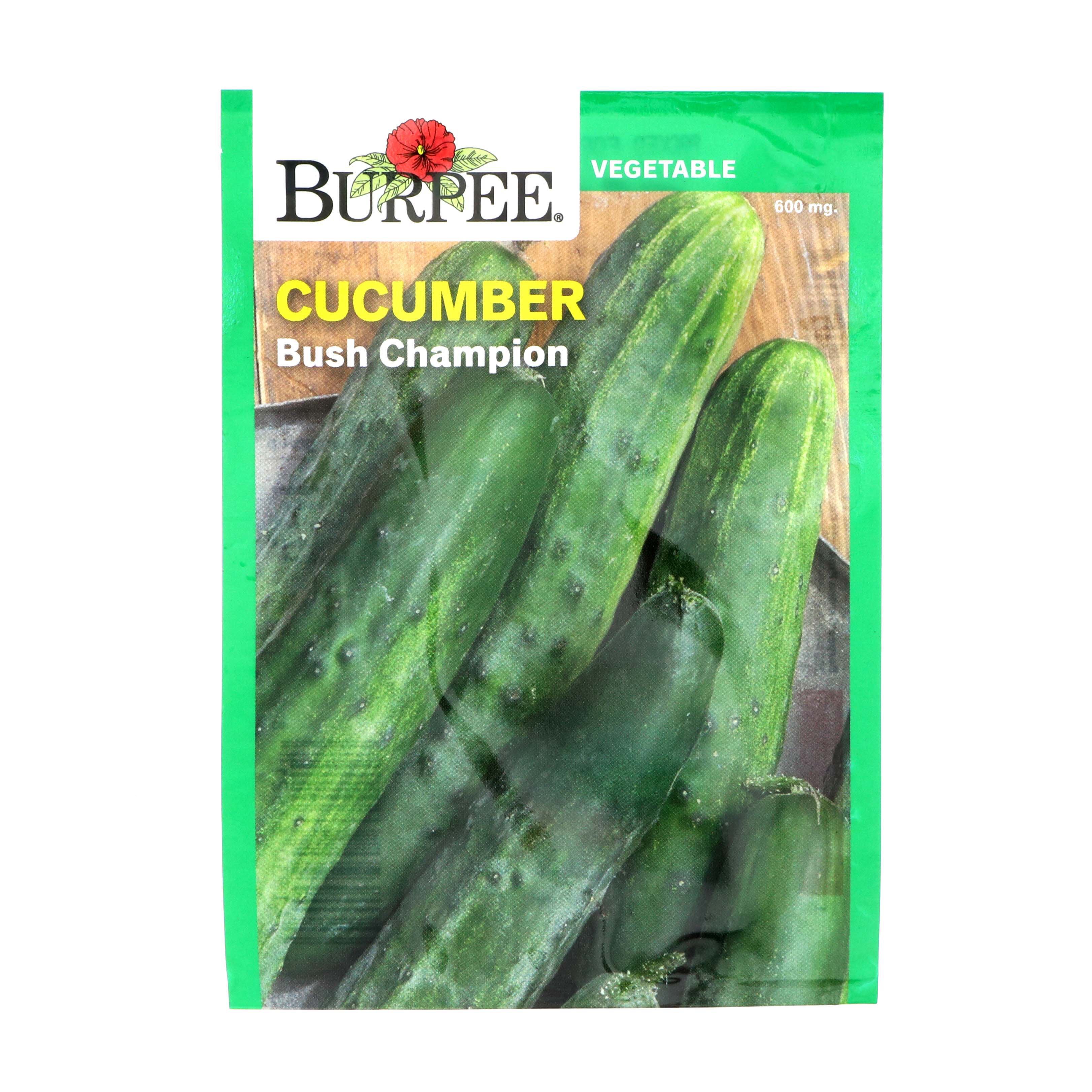 aflevere amplitude effektivt Burpee Cucumber Bush Champion Vegetable Seeds - Shop Patio & Outdoor at  H-E-B