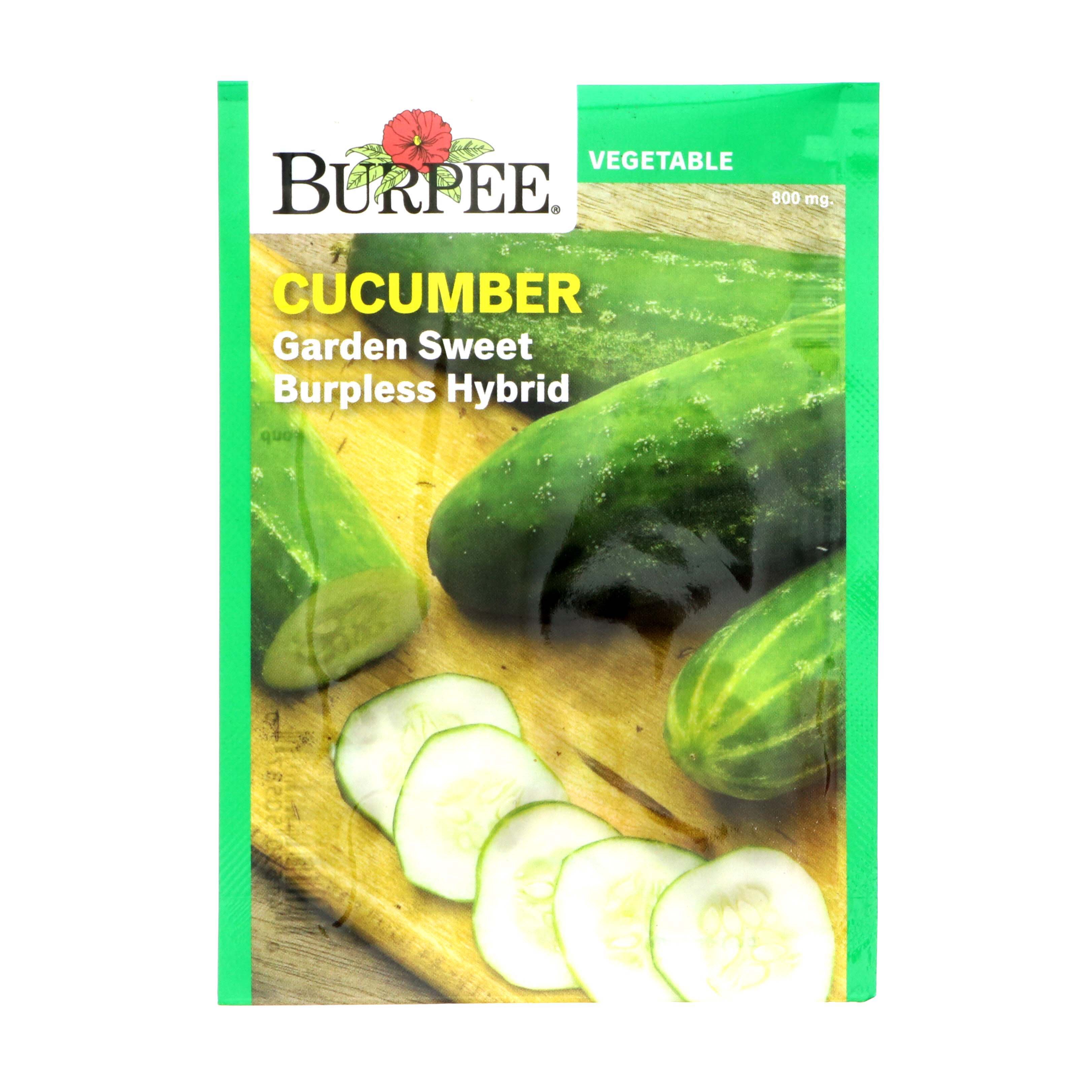 Burpee Cucumber Garden Sweet Burpless Hybrid Vegetable Seeds Shop Seeds At H E B 3584