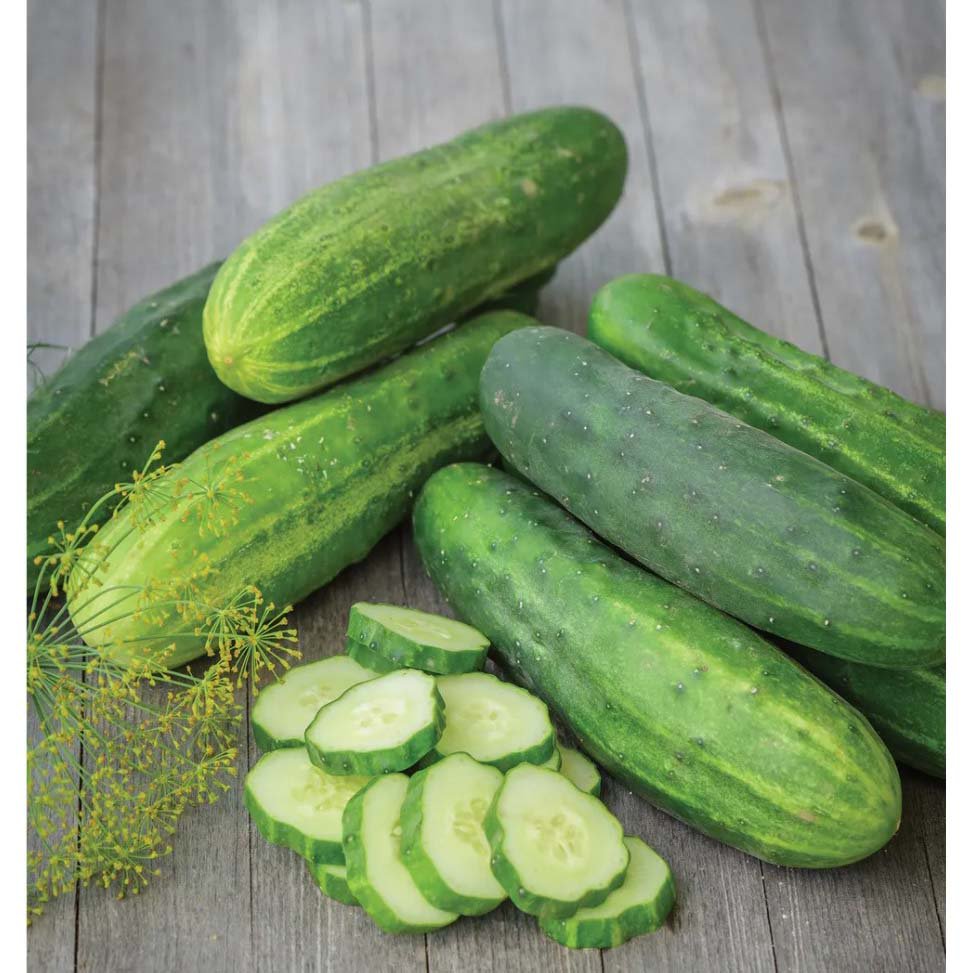 Fresh Organic Cucumber - Shop Vegetables at H-E-B