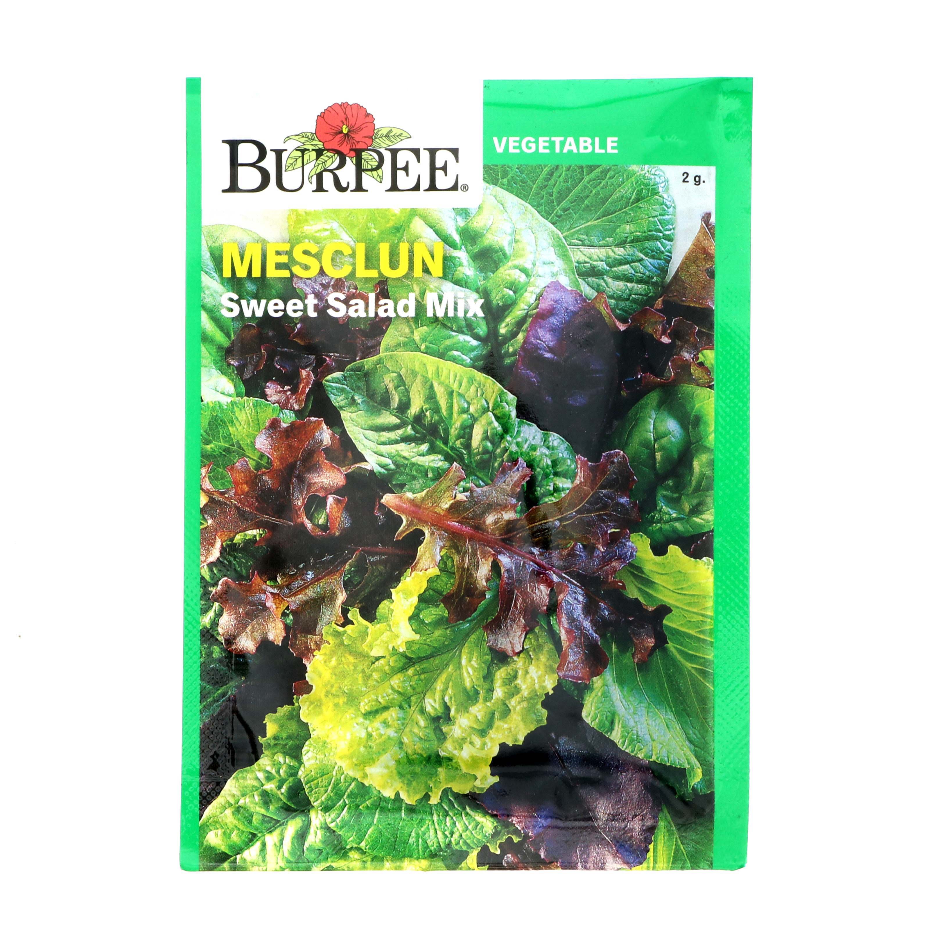 Burpee Mesclun Sweet Salad Mix Seeds Shop Patio & Outdoor at HEB