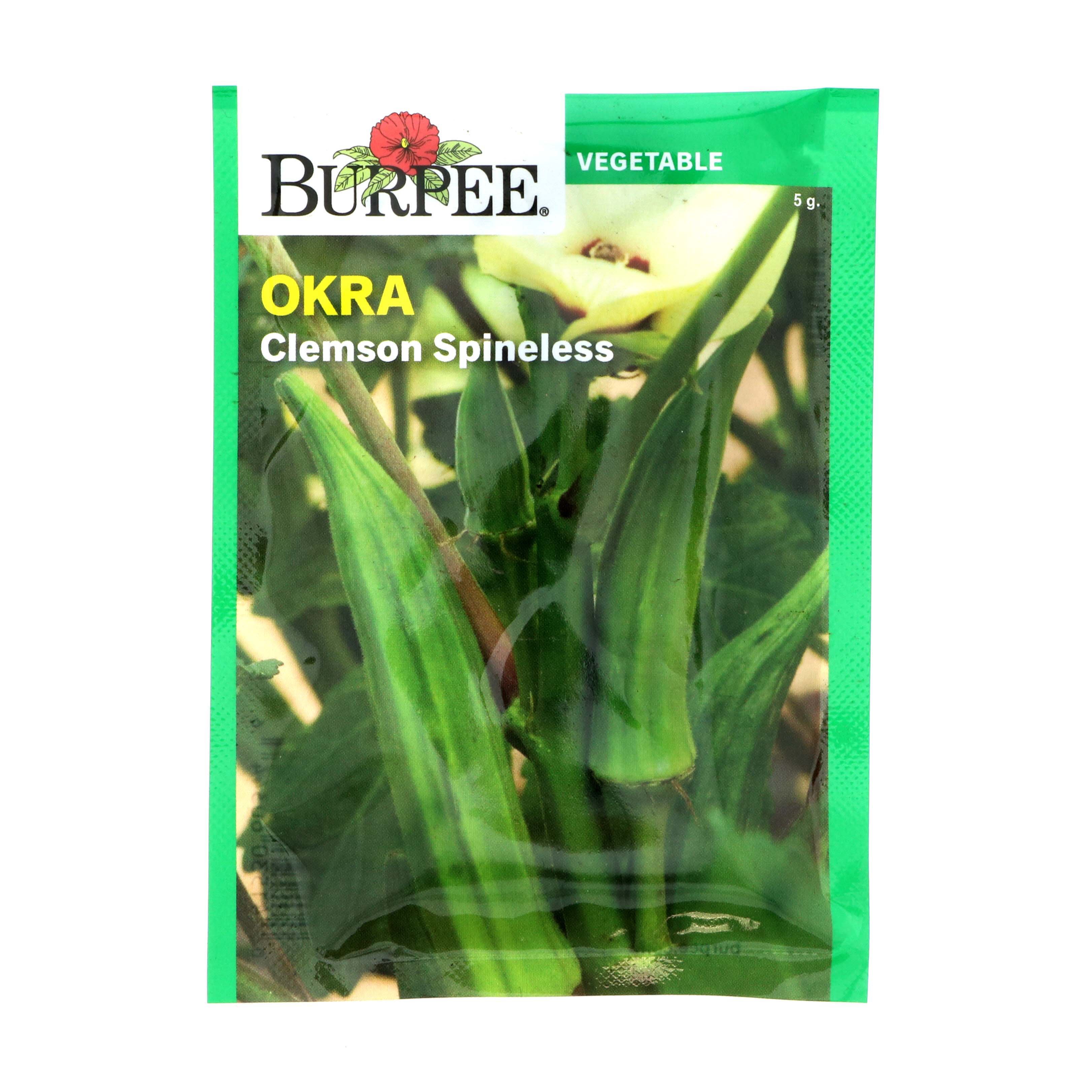 Burpee Clemson Spineless Okra Seeds Shop Seeds at HEB