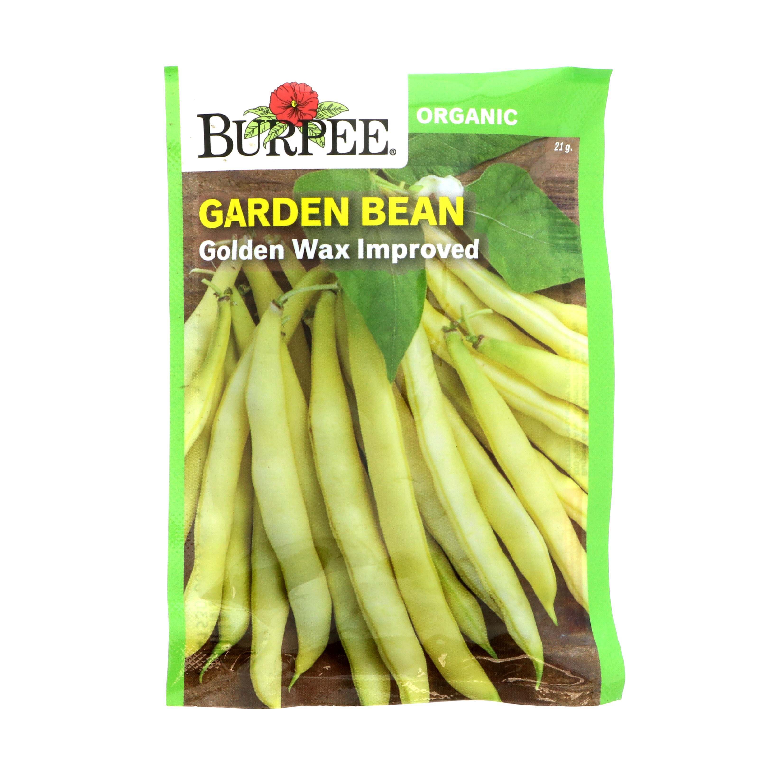 Burpee Golden Wax Improved Garden Bean Seeds Shop Seeds at HEB