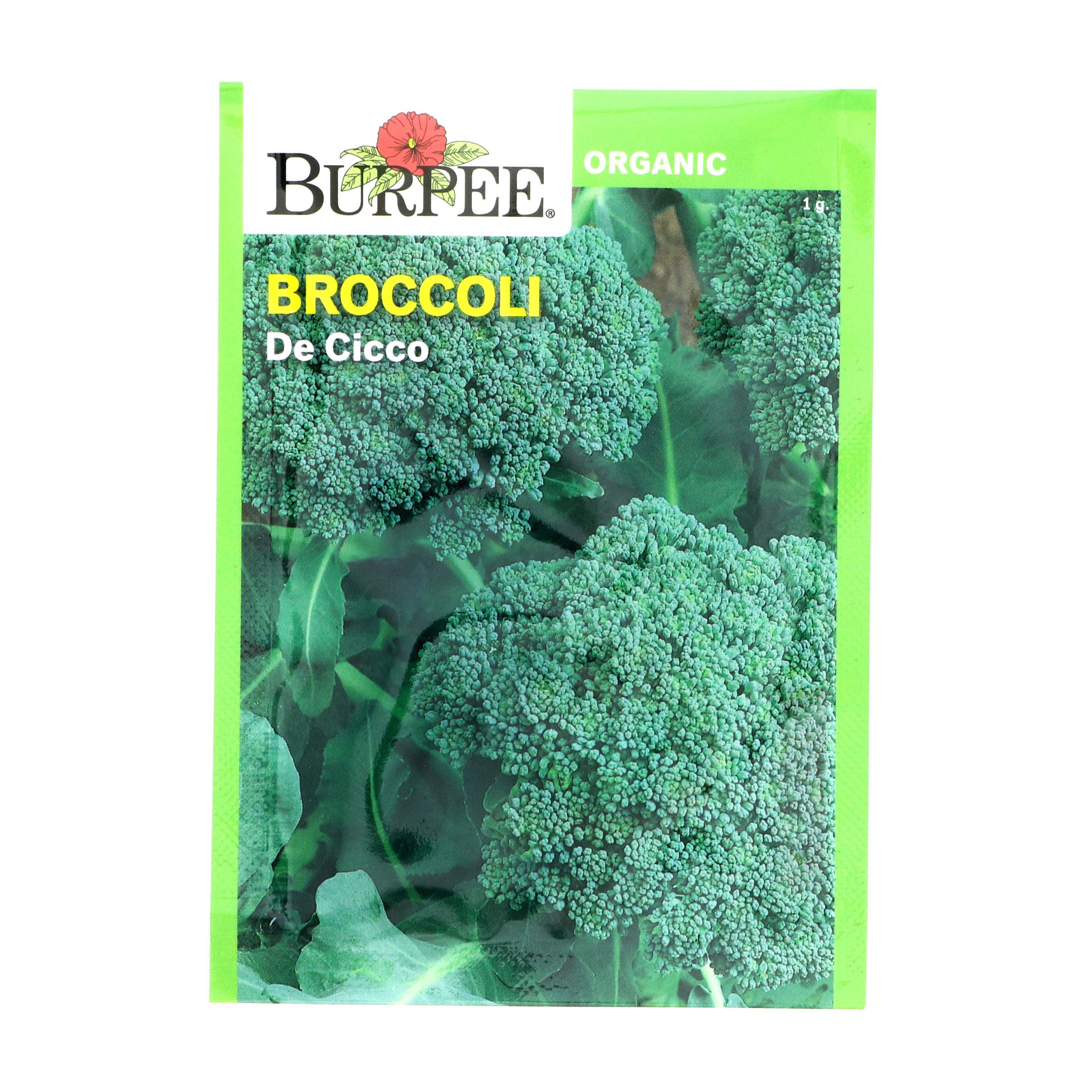 Burpee De Cicco Broccoli Seeds Shop Seeds at HEB