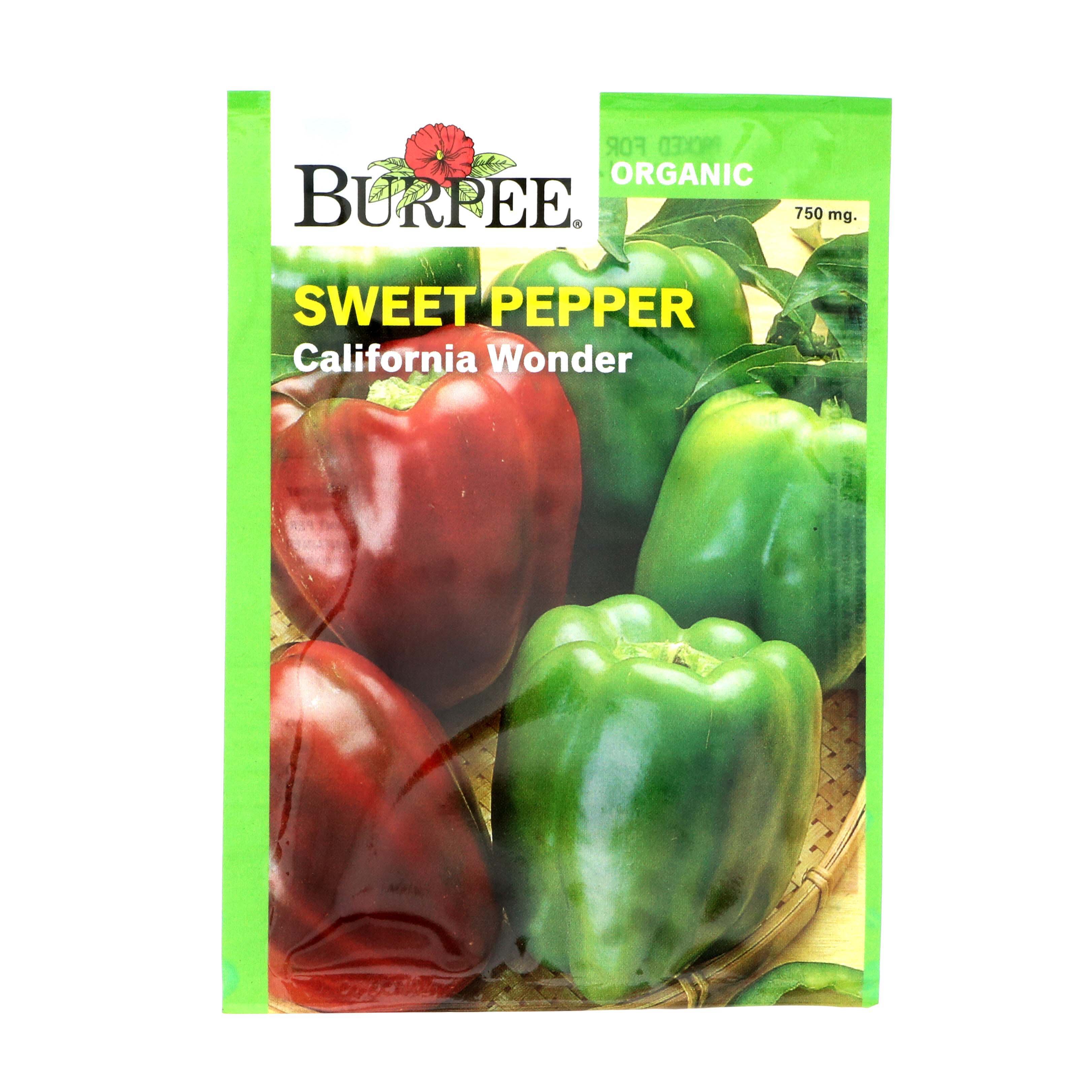 Burpee California Wonder Sweet Pepper Seeds - Shop Seeds at H-E-B