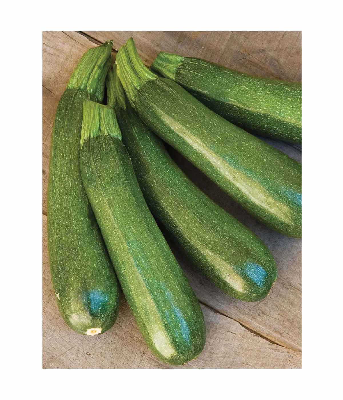 Burpee Organic Fordhook Zucchini Summer Squash Vegetable Seeds; image 2 of 2