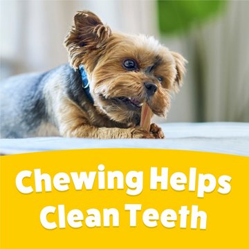 Busy Purina with Beggin’ Twist’d Tiny Adult Dog Chew Bone Treats, 5.3 oz