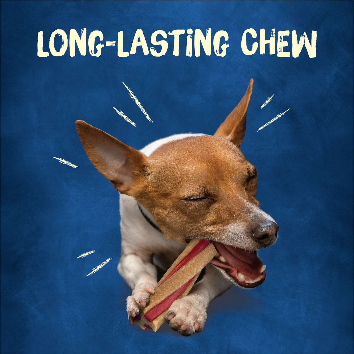 Busy Purina with Beggin’ Twist’d Tiny Adult Dog Chew Bone Treats; image 3 of 3