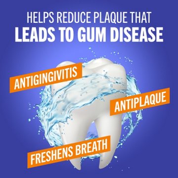 TheraBreath Clean Mint Healthy Gums Oral Rinse, 16 oz