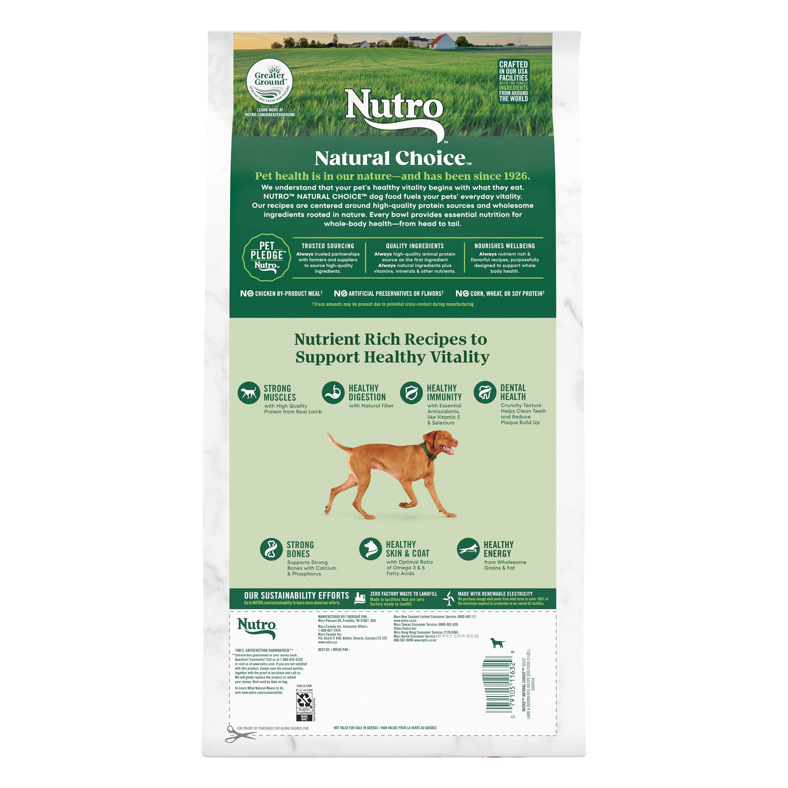 Nutro dog outlet food 40lb