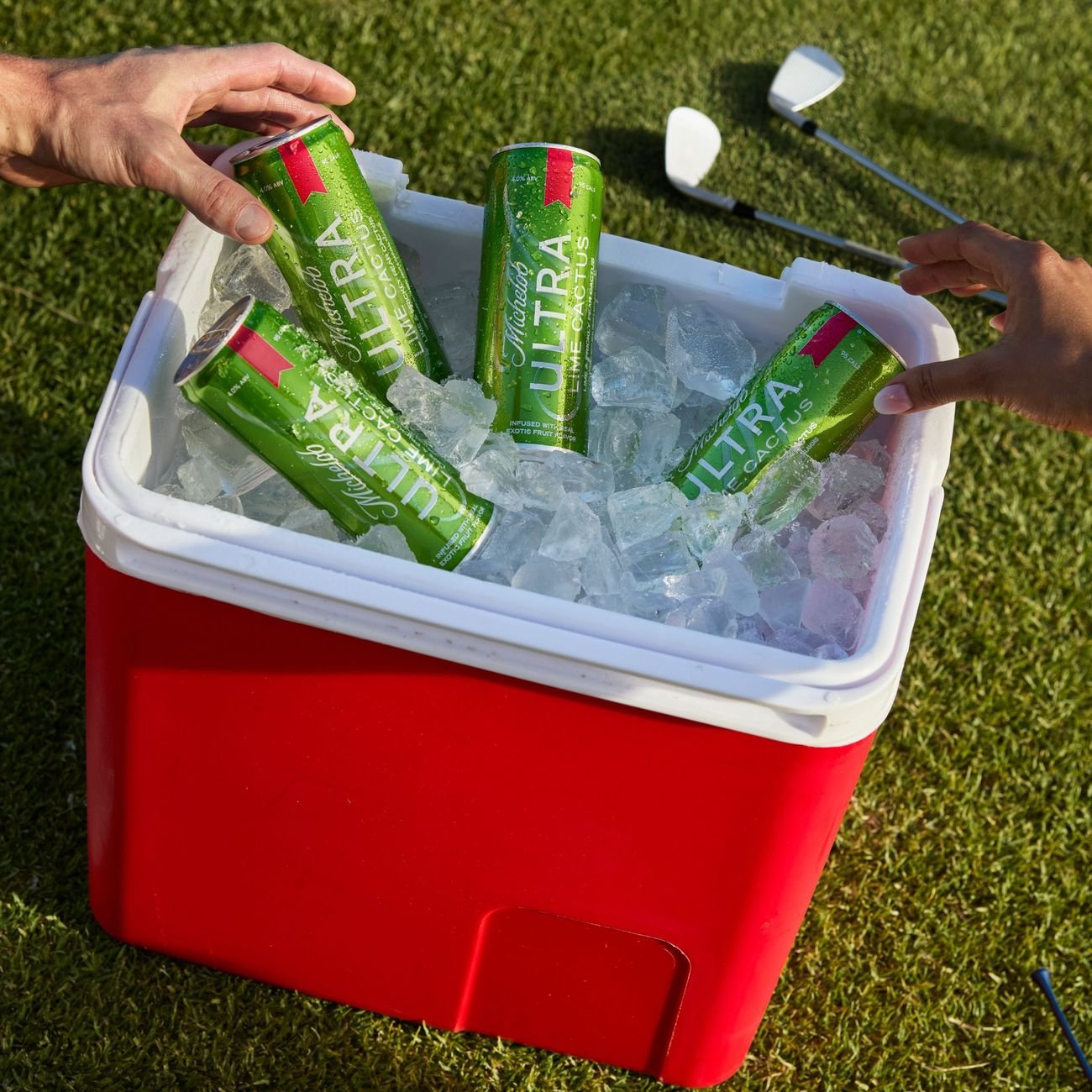 Michelob ULTRA Infusions Lime & Prickly Pear Cactus Light Beer 18 pk Cans -  Shop Beer at H-E-B