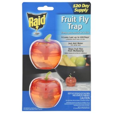 Raid Plastic Fruit Fly Traps, 2 pk