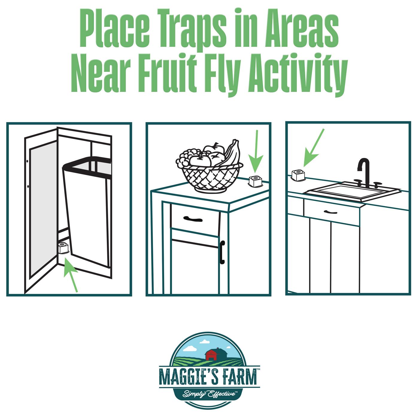 Maggie's Farm Fruit Fly Trap; image 5 of 5