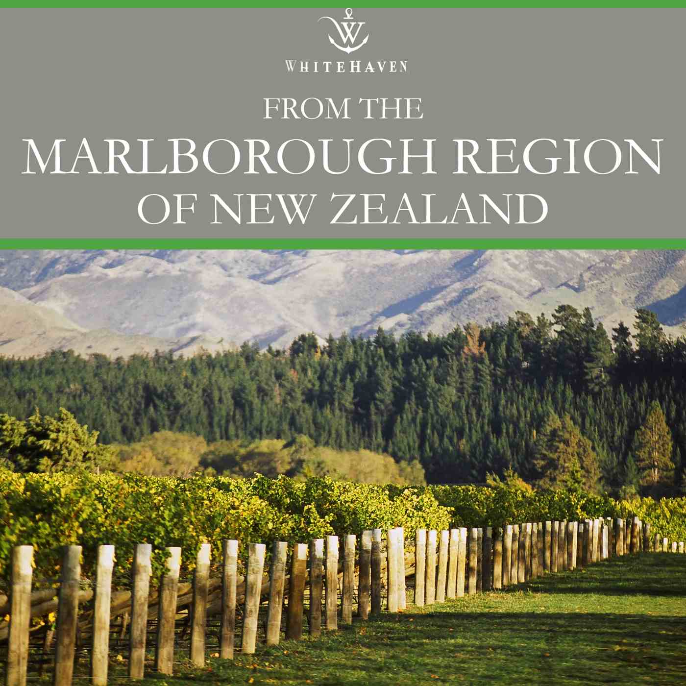 Whitehaven Sauvignon Blanc New Zealand White Wine; image 4 of 7