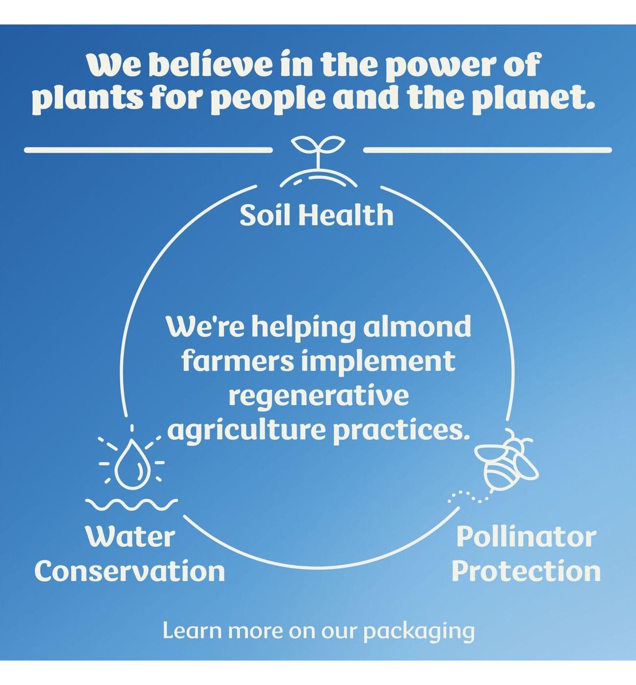 Silk Dairy Free Almond Milk Liquid Coffee Creamer - Caramel ; image 9 of 10