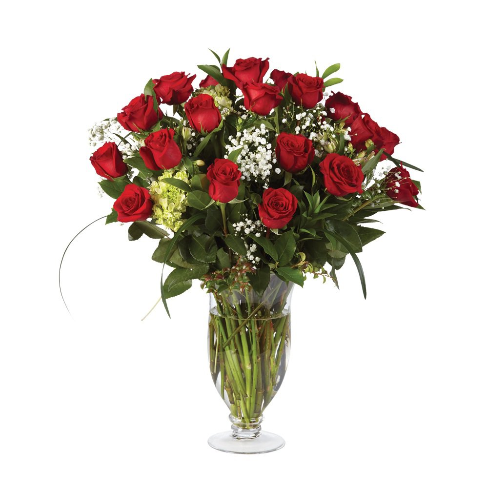 Double Dozen Rose Elegance Shop Flowers &amp; Arrangements