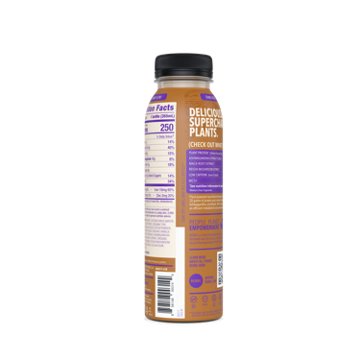 REBBL 20g Protein Shake - Dark Chocolate, 12 oz