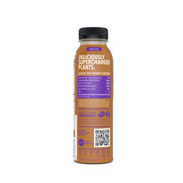 REBBL 20g Protein Shake - Dark Chocolate, 12 oz