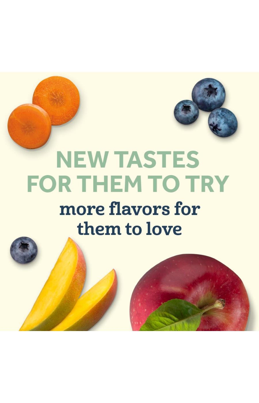 Gerber Organic for Toddler Pouch - Banana Raspberry & Yogurt; image 8 of 8