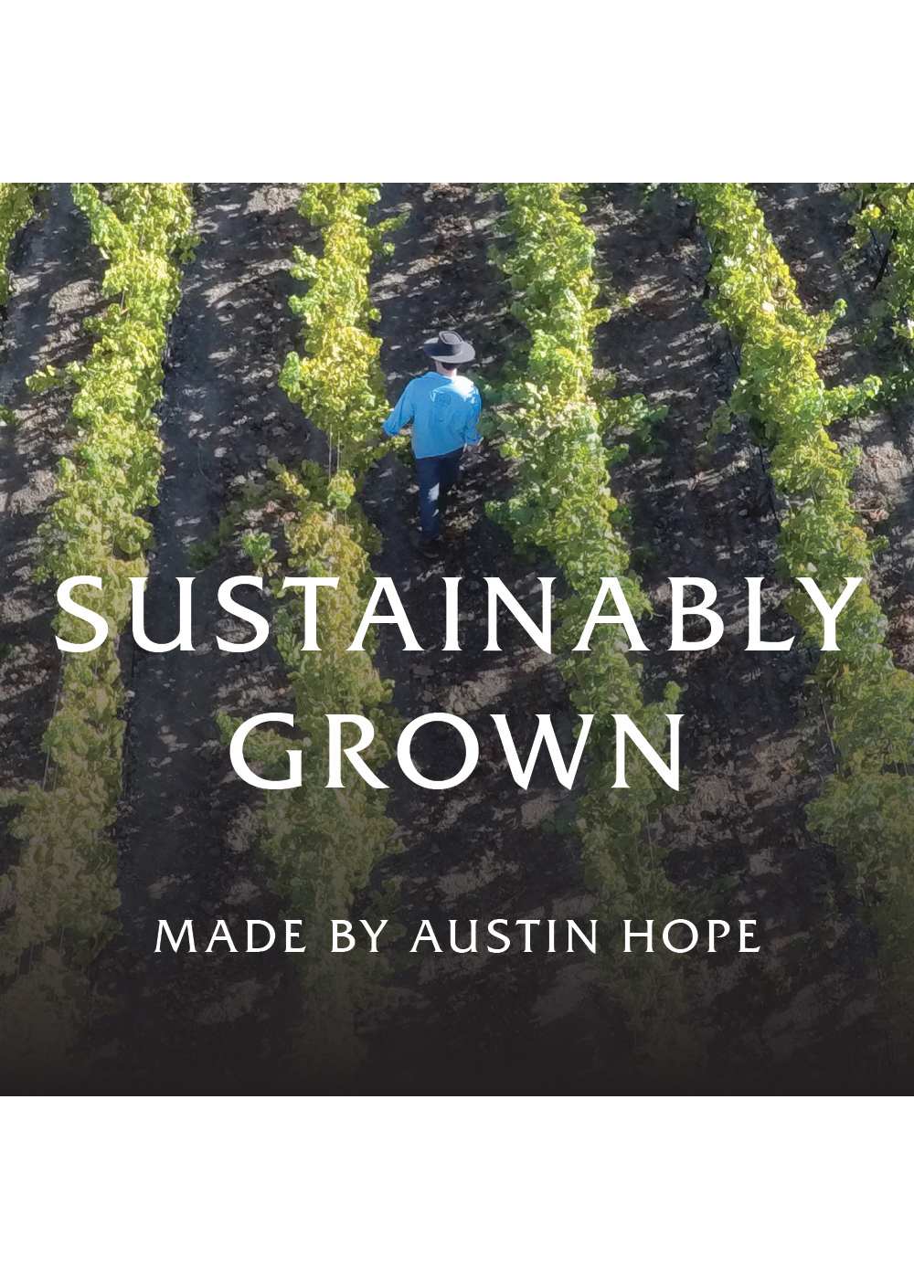 Austin Hope Cabernet Sauvignon; image 2 of 4