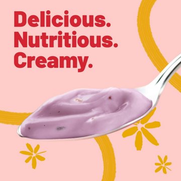 Yoplait Original Low-Fat Mountain Blueberry & Mix Berry Yogurt 