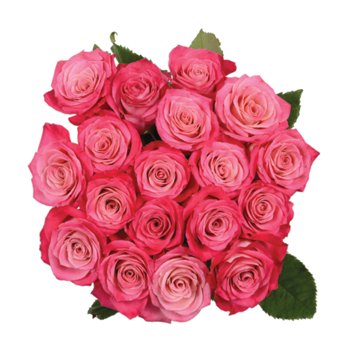 BLOOMS by H-E-B Farmers Bunch Assorted 18 Stem Roses