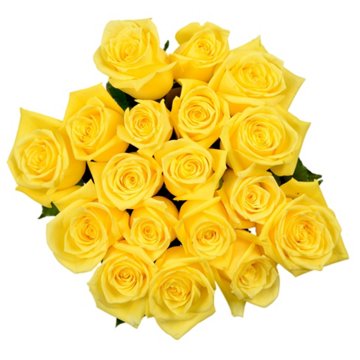 BLOOMS by H-E-B Farmers Bunch Assorted 18 Stem Roses